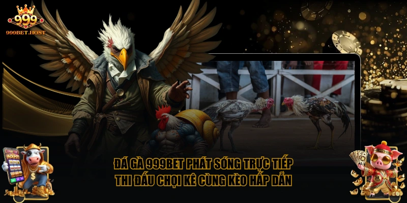 Đá Gà 999BET phát sóng trực tiếp thi đấu chọi kê cùng kèo hấp dẫn